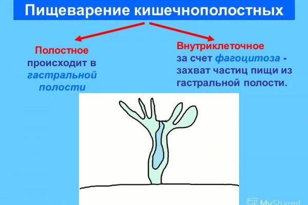 Ссылки на кракен маркетплейс